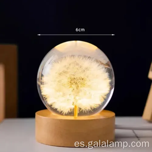 Luz eterna de la noche de flores